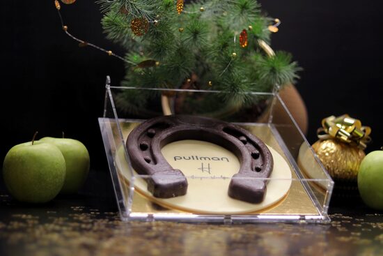 Chocolate Horseshoe of Fortune 20 cm in a box