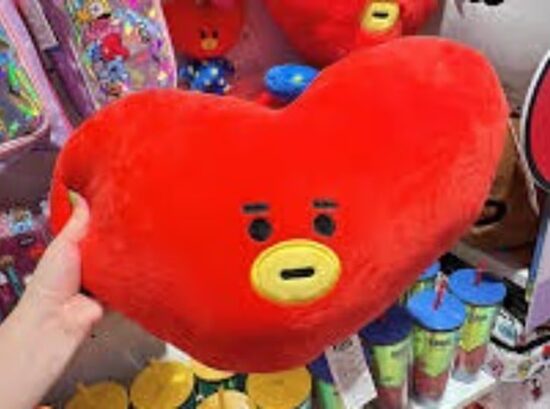 BT21 Collection 40 cm Head Shaped Pillow (TATA)