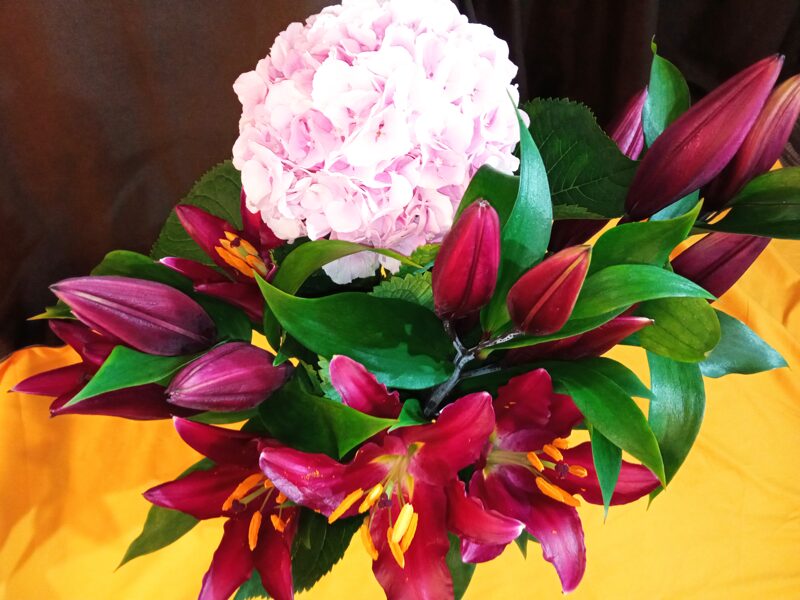 Ароматные темно-красные лилии и розовая гортензия в вазе