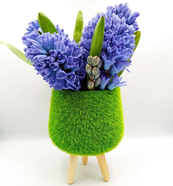 Синие гиацинты в зеленой вазе
